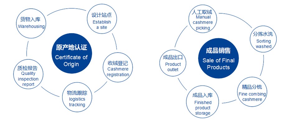 process_副本.jpg
